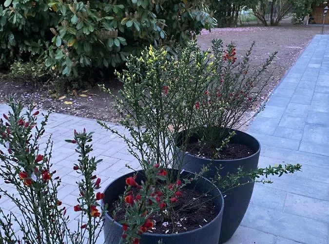 Haus Am Deich Ferienhaus *